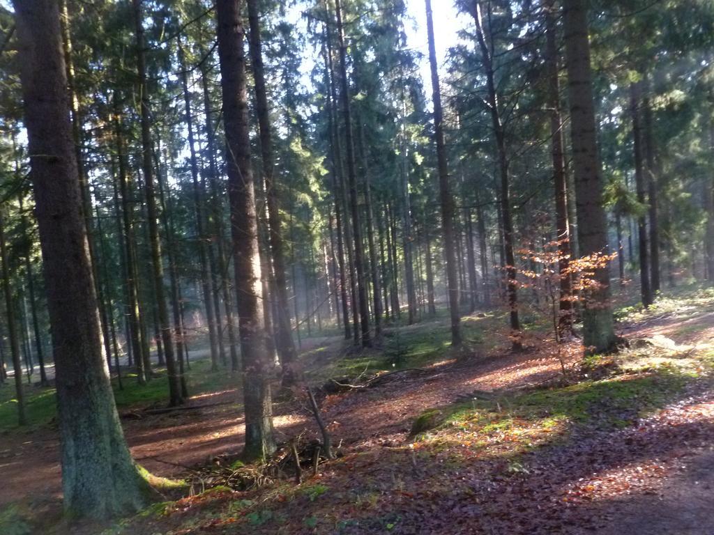 Blockhaus Bayerischer Wald Stamsried Kültér fotó